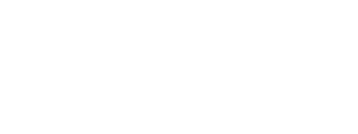 Foundation BTS Logo