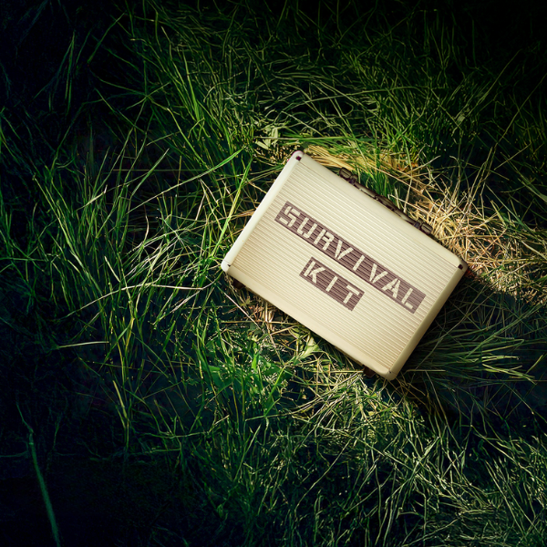 A beige survival kit case lying in tall grass, symbolizing preparedness and resilience against cybersecurity threats.