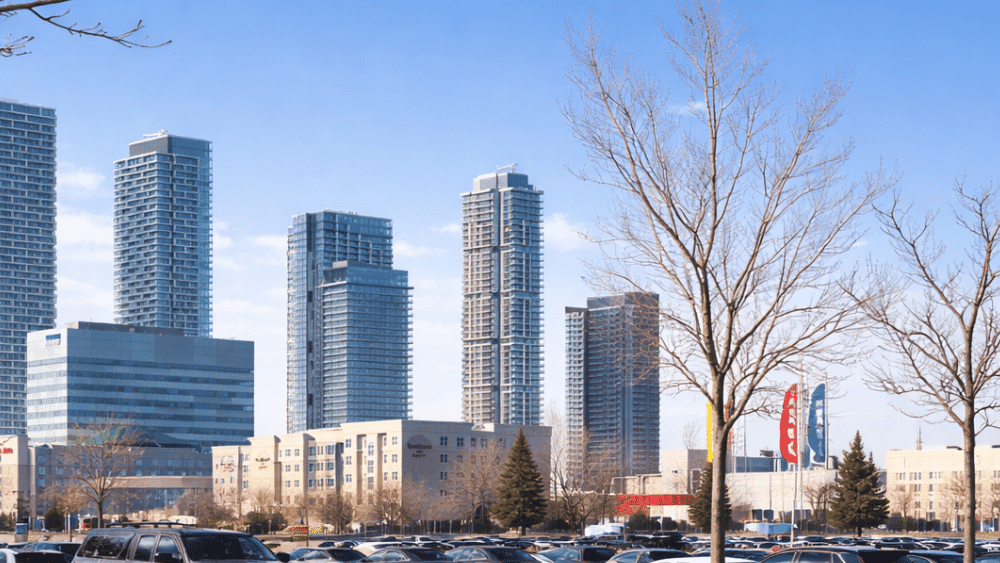 Foundation BTS employees consulting with a client